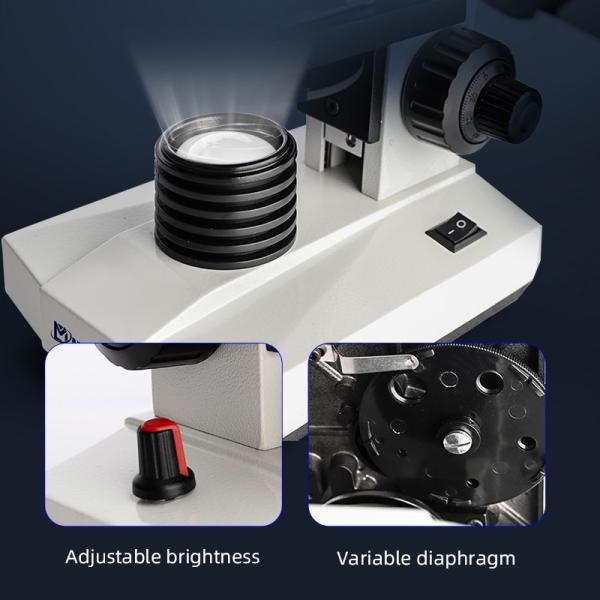 Blood Morphology Analysis Microscope with 9-Inch HD Display Screen