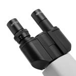Blood Morphology Analysis Microscope with 9-Inch HD Display Screen