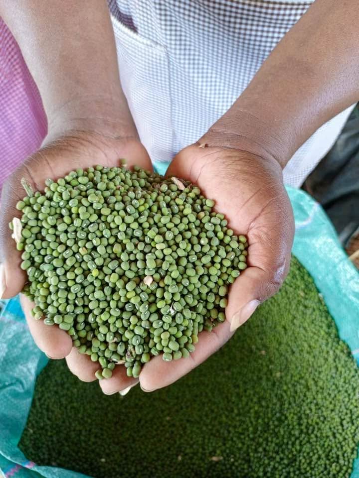 Green grams for sale in Mombasa at 130 per kg