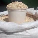 Maize grams for sale 90kgs