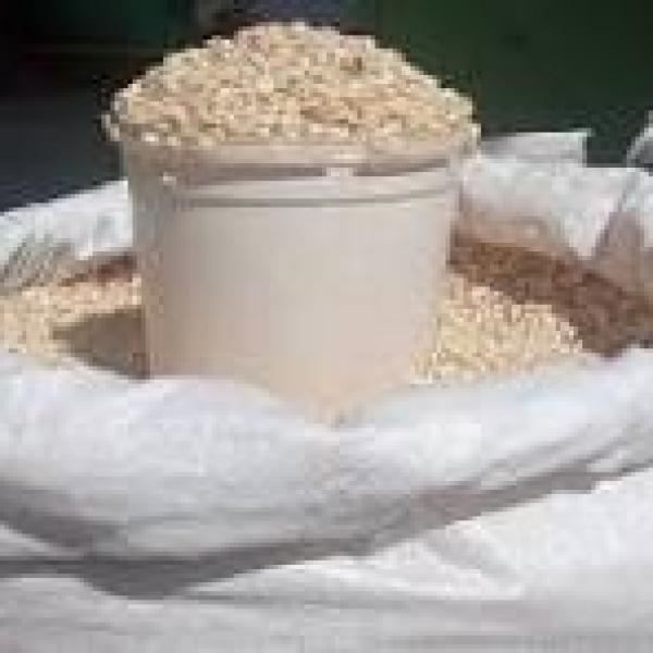 Maize grams for sale 90kgs