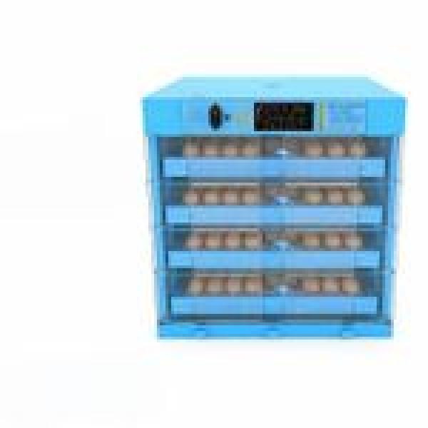 320 Eggs Solar DC / AC Automatic Incubator – 80W